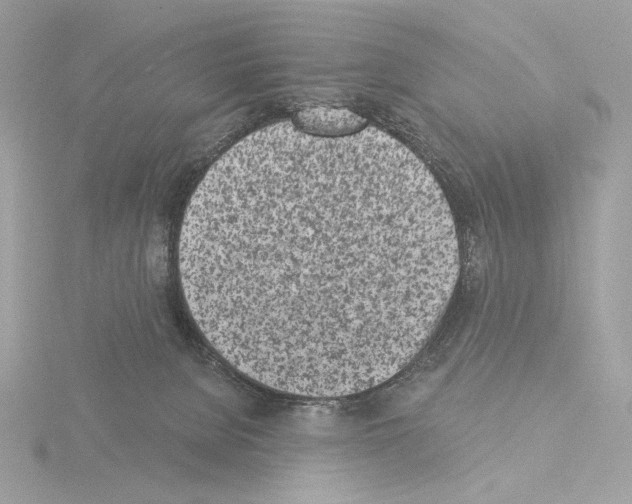 X0000115520080200912181515