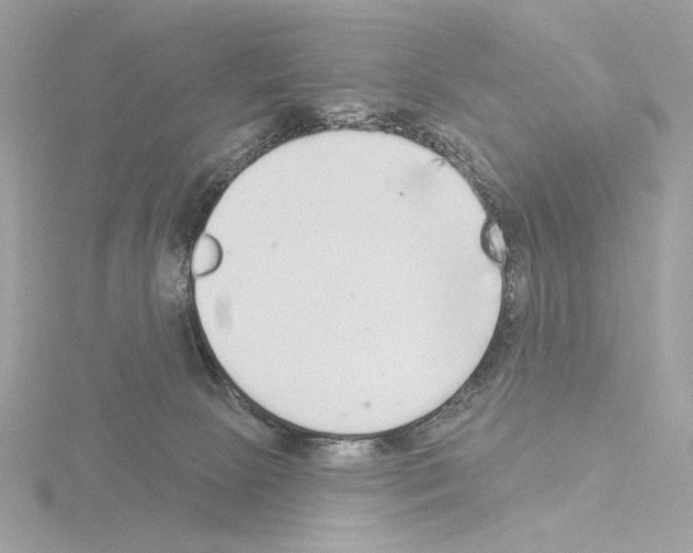 X0000115520081200912181515