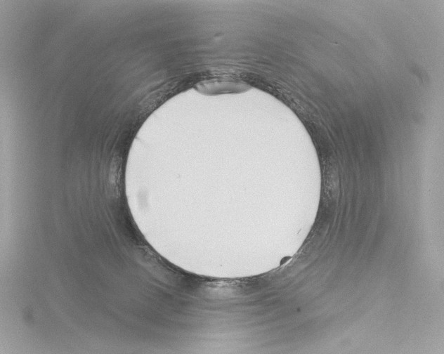 X0000115520082200912181515