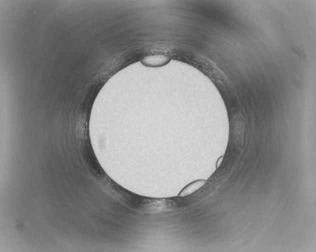 X0000115520083200912181515