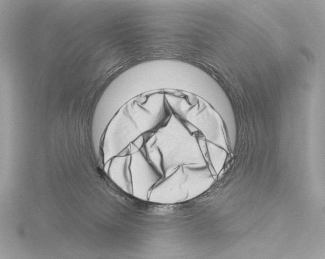 X0000115520084200912181515