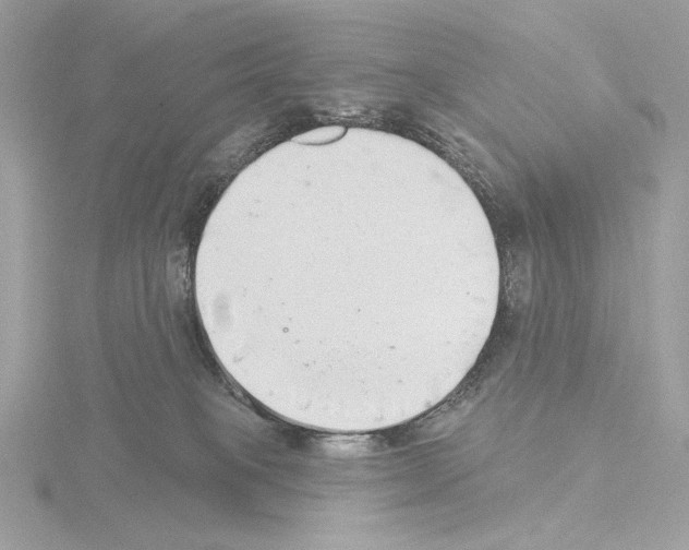 X0000115520085200912181515