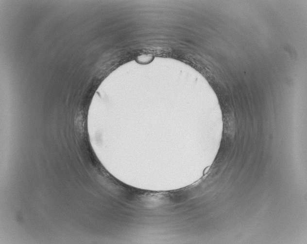 X0000115520086200912181515