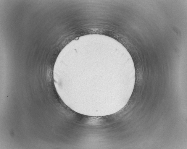 X0000115520090200912181515