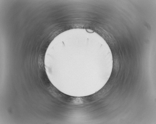 X0000115520091200912181515