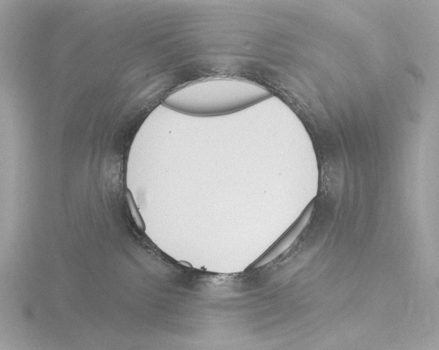 X0000115520092200912181515