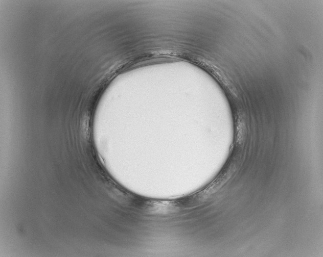 X0000115520093200912181515