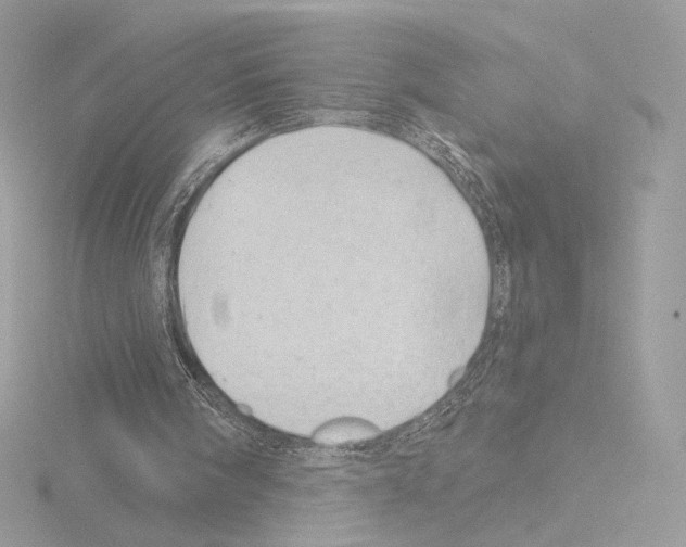 X0000115520098200912181515