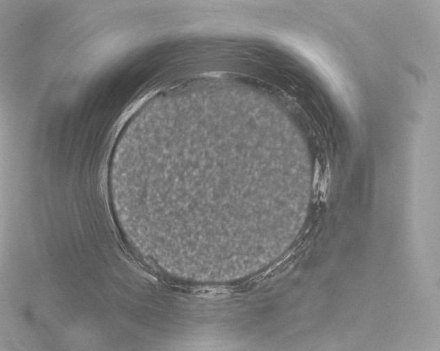 X0000115520099200912181515