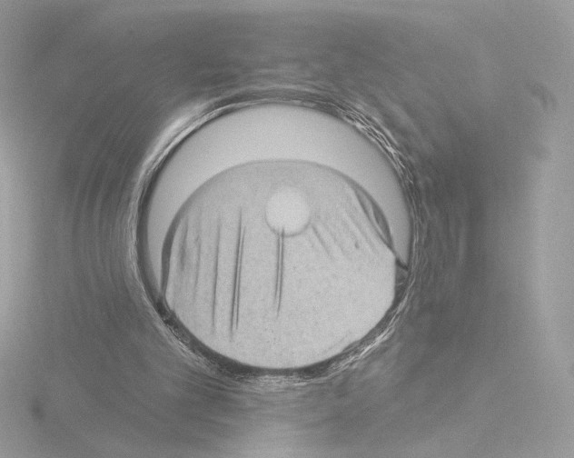 X0000115520101200912181515