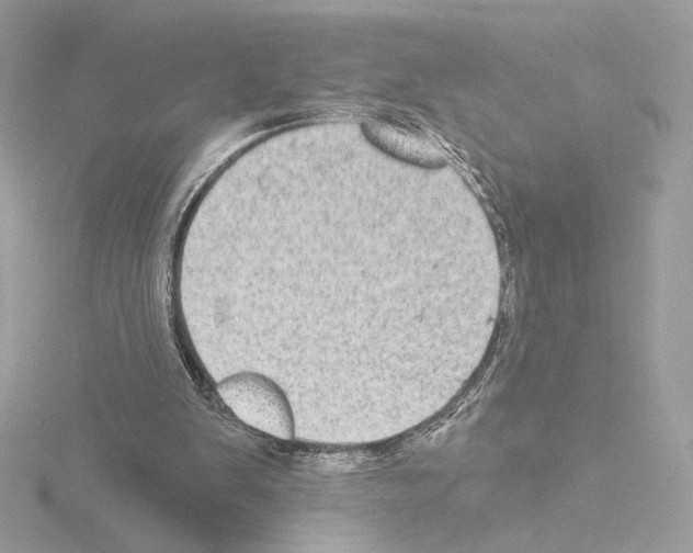 X0000115520103200912181515