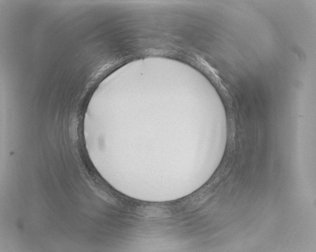 X0000115520106200912181515