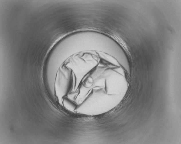 X0000115520108200912181515