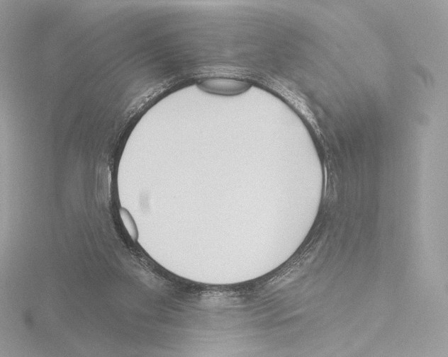 X0000115520109200912181515