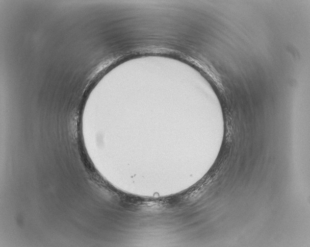 X0000115520111200912181514