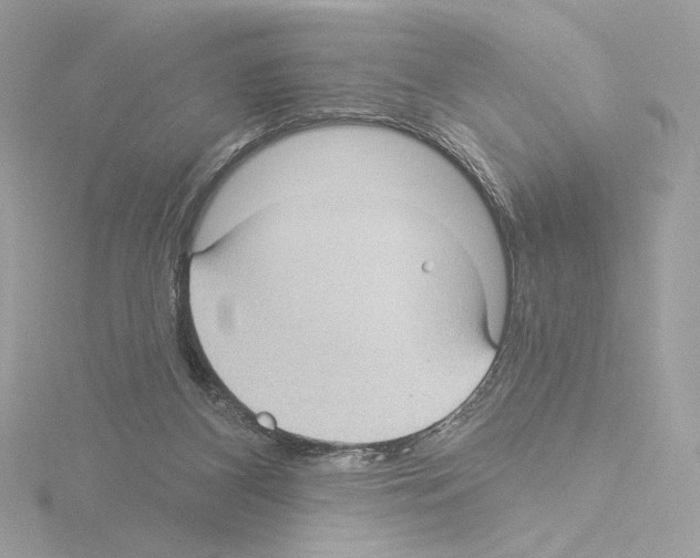 X0000115520116200912181514