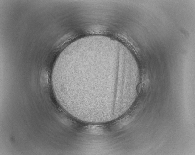 X0000115520117200912181514