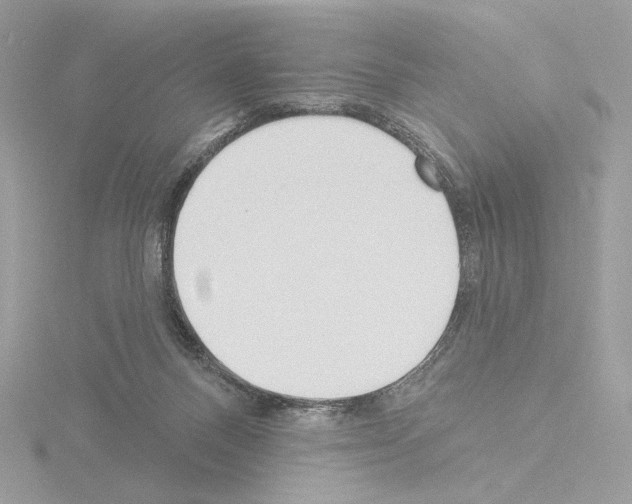 X0000115520120200912181514