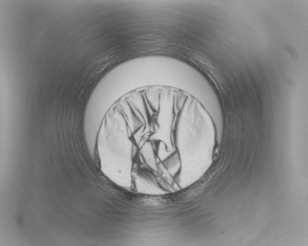 X0000115520121200912181514