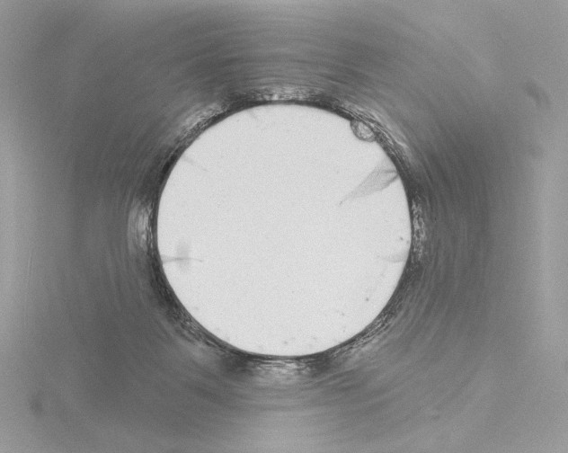 X0000115520123200912181514