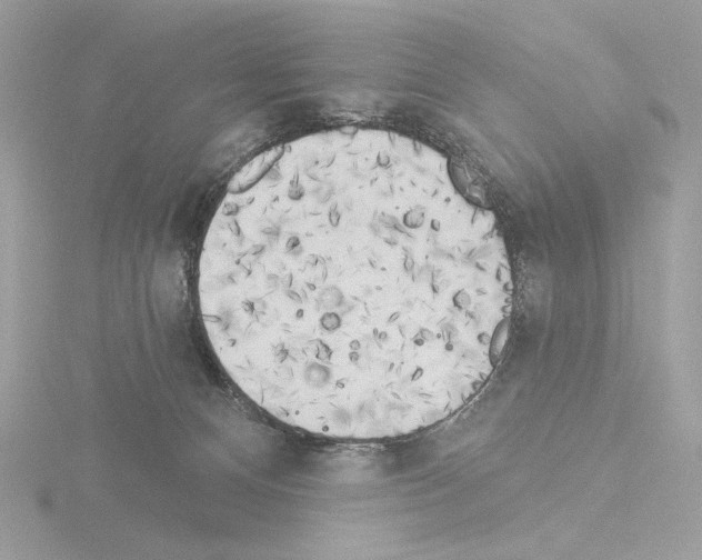 X0000115520128200912181514