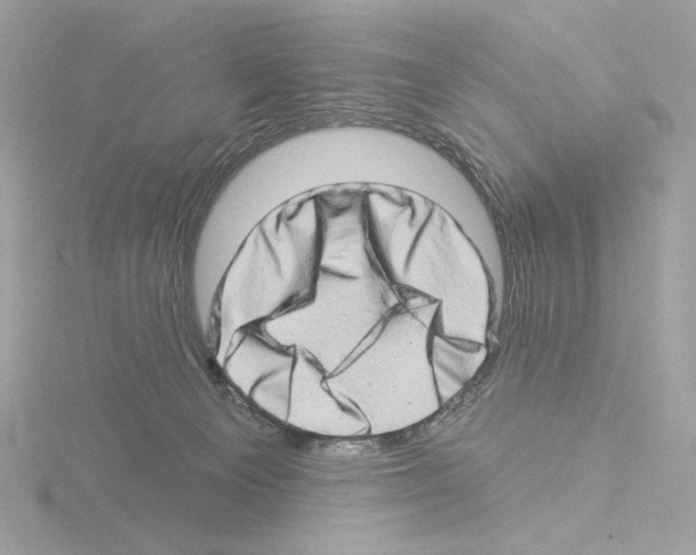 X0000115520129200912181514