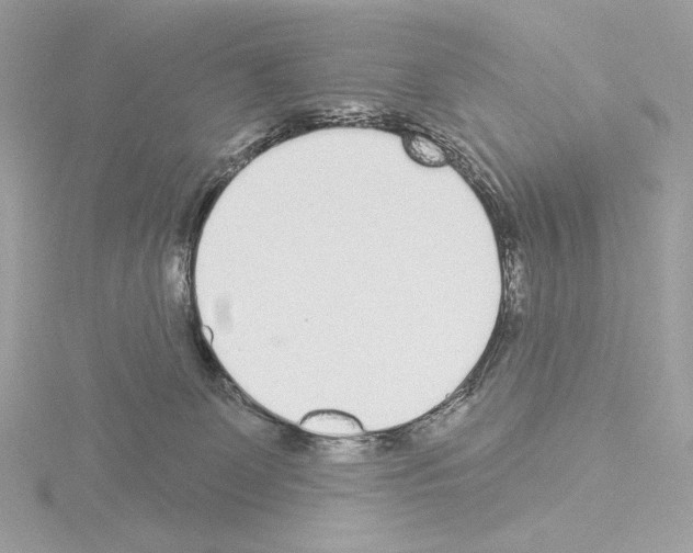 X0000115520131200912181514