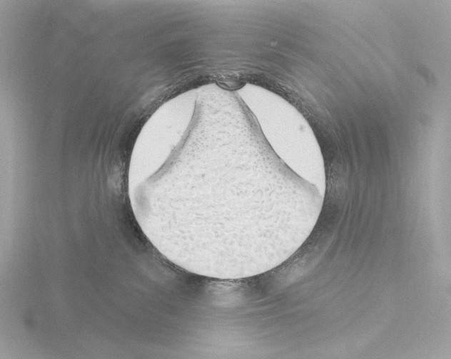 X0000115520139200912181514