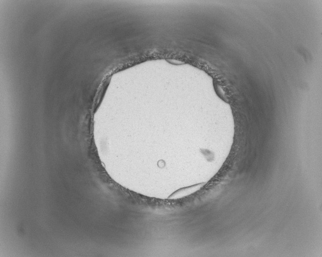 X0000115520144200912181514