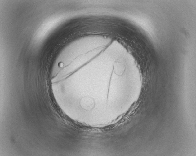 X0000115520146200912181513