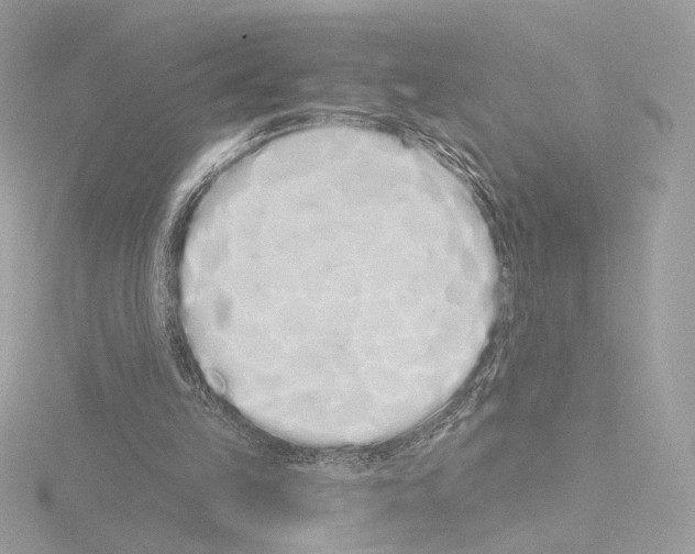 X0000115520149200912181513