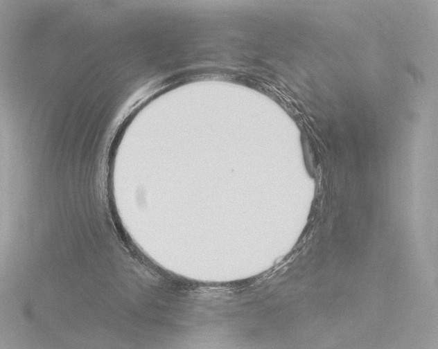 X0000115520150200912181513