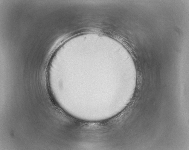 X0000115520151200912181513