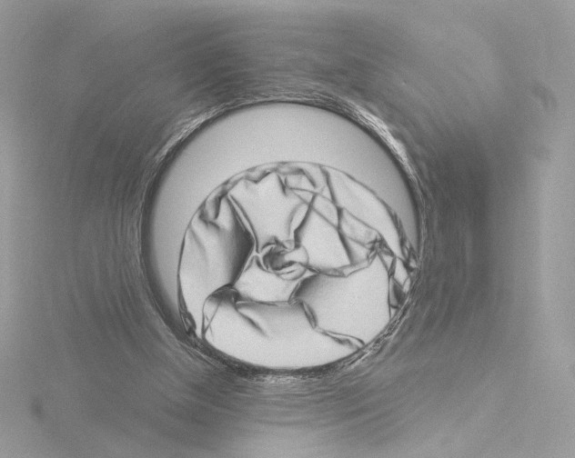 X0000115520154200912181513