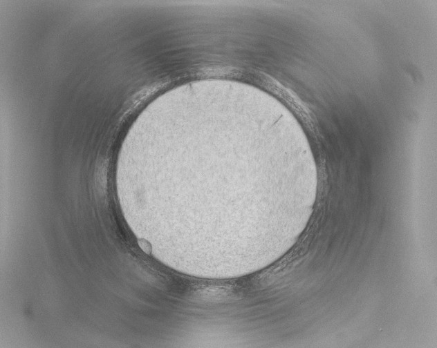 X0000115520155200912181513