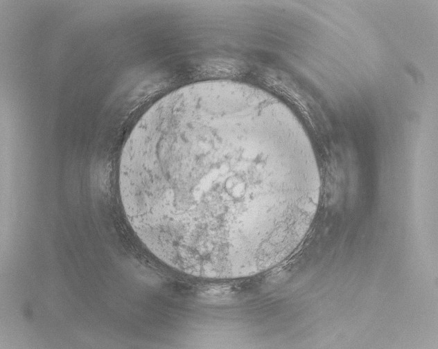 X0000115520162200912181513