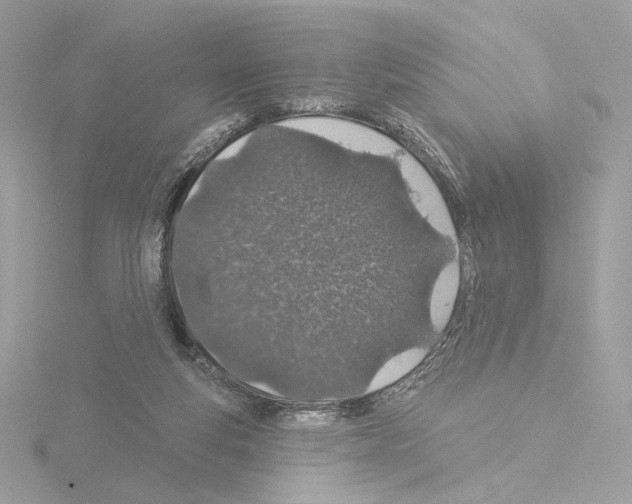 X0000115520163200912181514