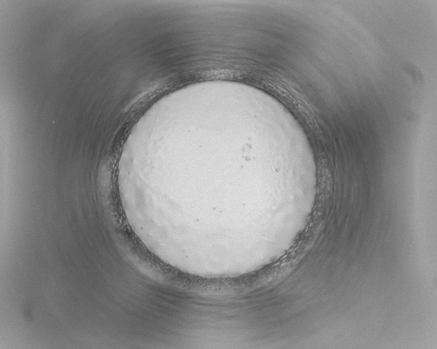 X0000115520165200912181514