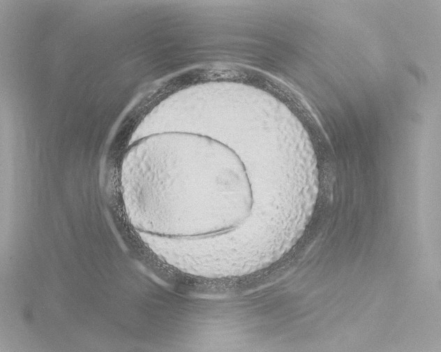 X0000115520169200912181514