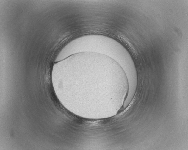 X0000115520170200912181514