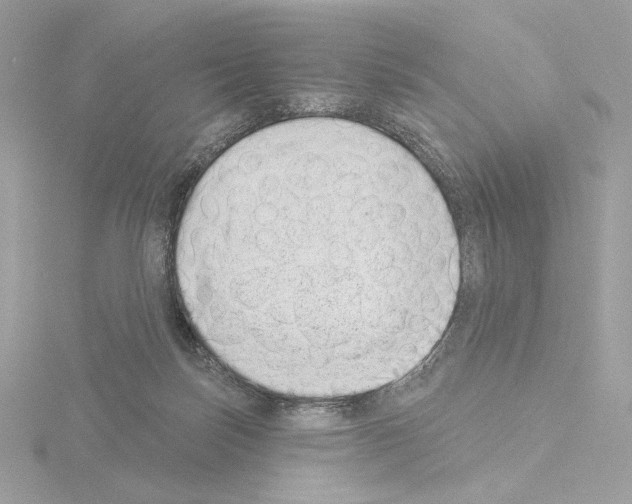 X0000115520171200912181514