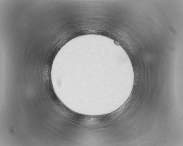 X0000115520174200912181514