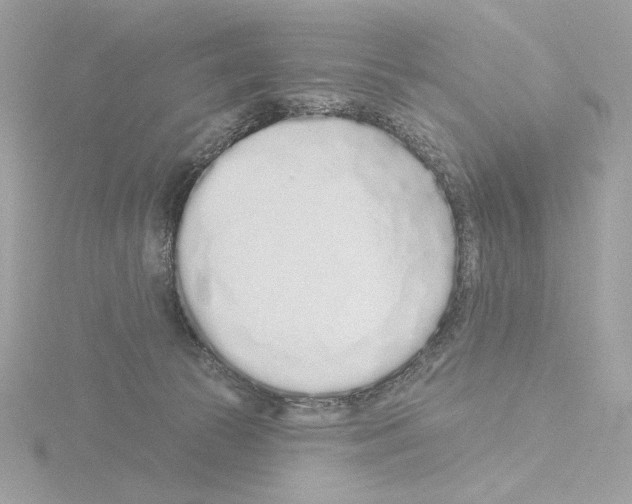 X0000115520177200912181514