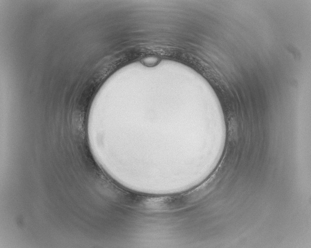 X0000115520178200912181514