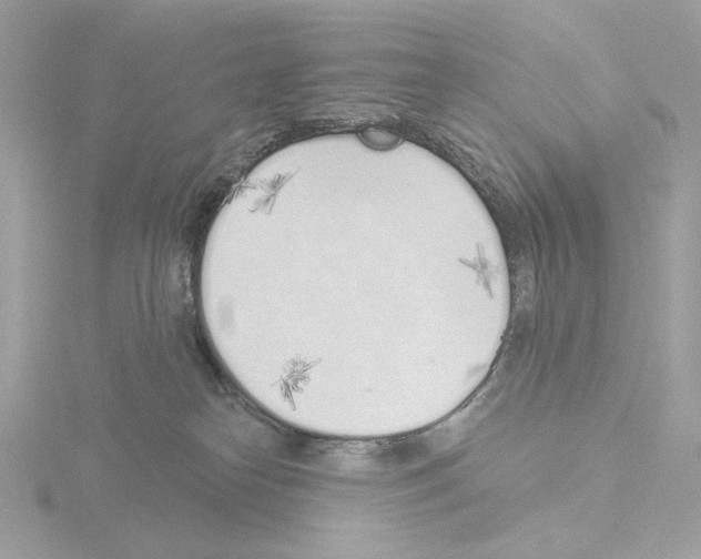 X0000115520182200912181514