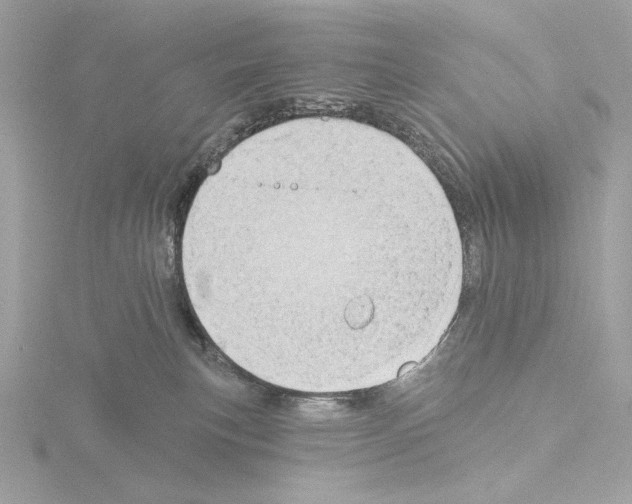 X0000115520183200912181514