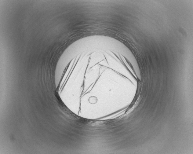 X0000115520186200912181514