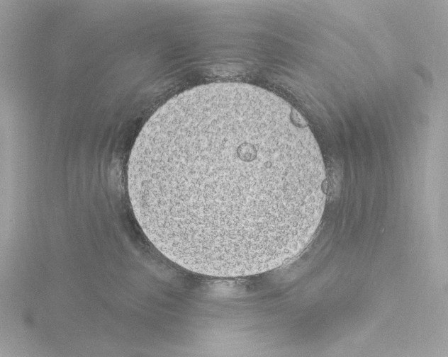 X0000115520187200912181514