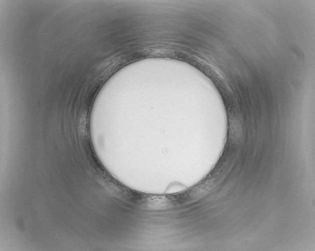 X0000115520189200912181514