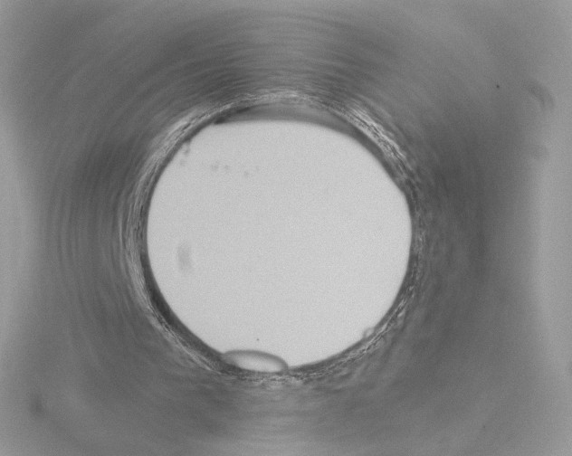 X0000115520193200912181513